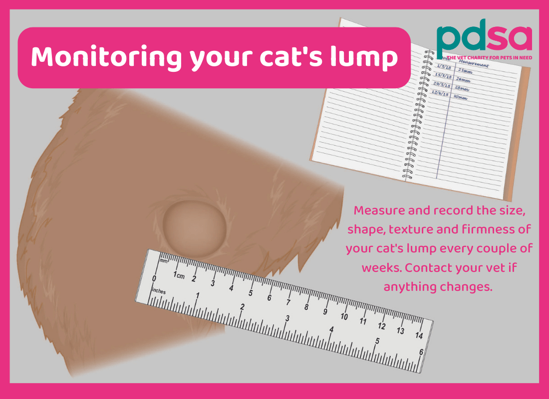 An illustration showing how to monitor your cat's lumps