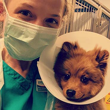 PDSA vet Hermione with a pet patient