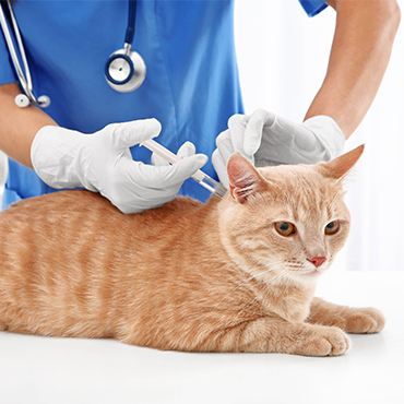 which travel vaccines need boosters which travel vaccines need boosters