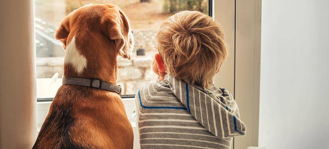 Dog and child looking out of window