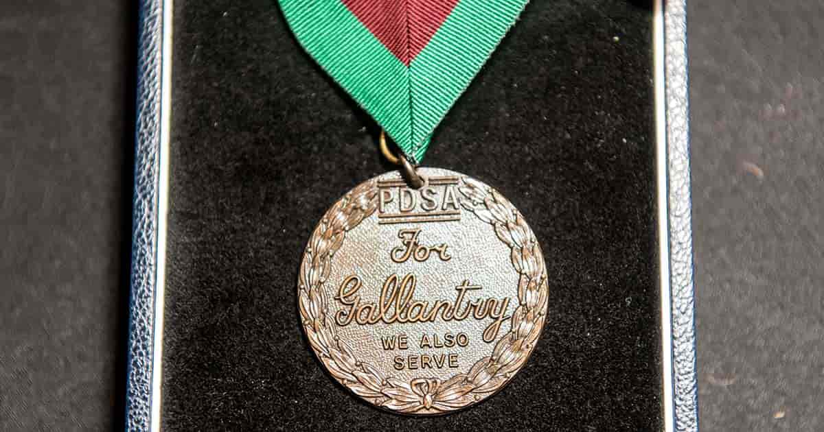 Honouring our animal heroes: what's the PDSA Dickin Medal? - PDSA Honouring our animal heroes: what's the PDSA Dickin Medal? - PDSA