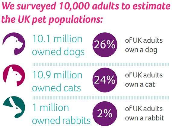 An infographic showing the UK's pet population statistics.