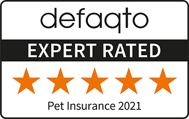 Defaqto expert rated 2019 5 star pet insurance