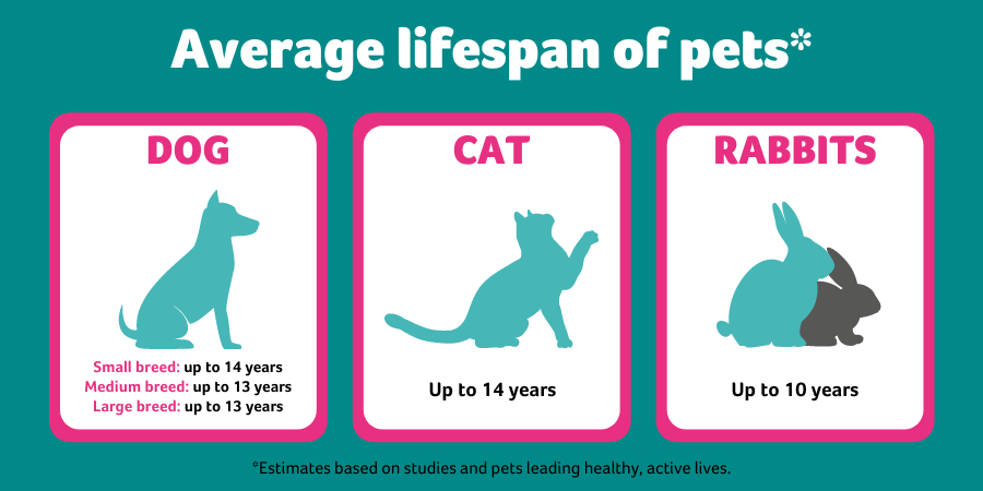 How Long Do Dogs, Cats, and Other Pets Live?