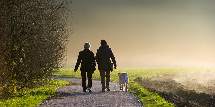 Two people walking along a path with their dog in the fog