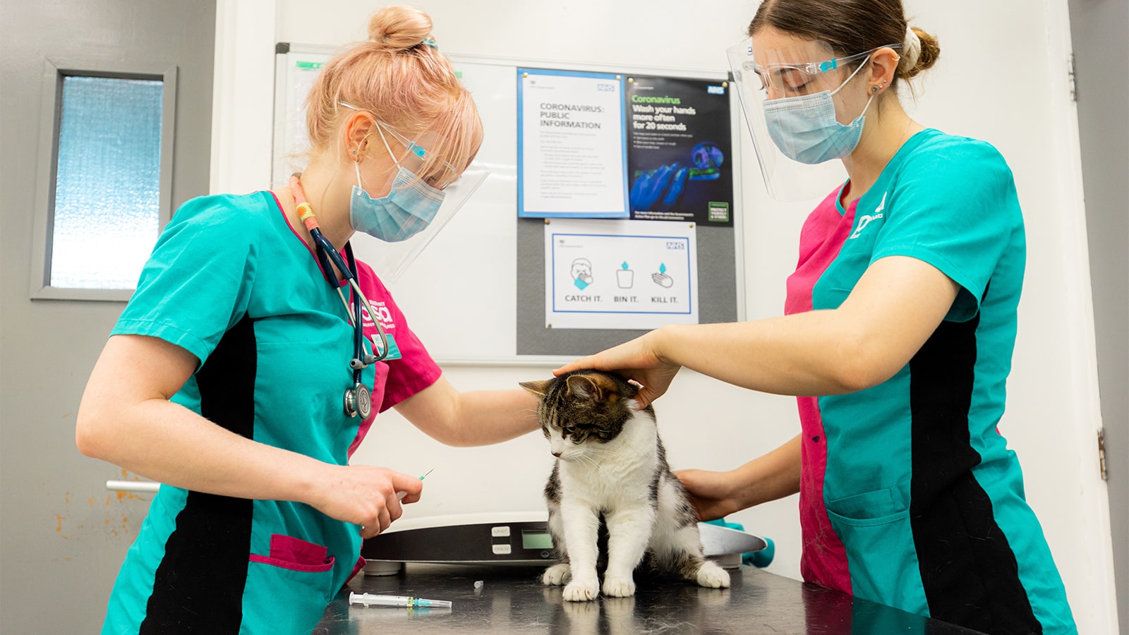 Help Us Build A New Nottingham Pet Hospital Pdsa