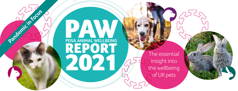 PAW report 2021 cover image