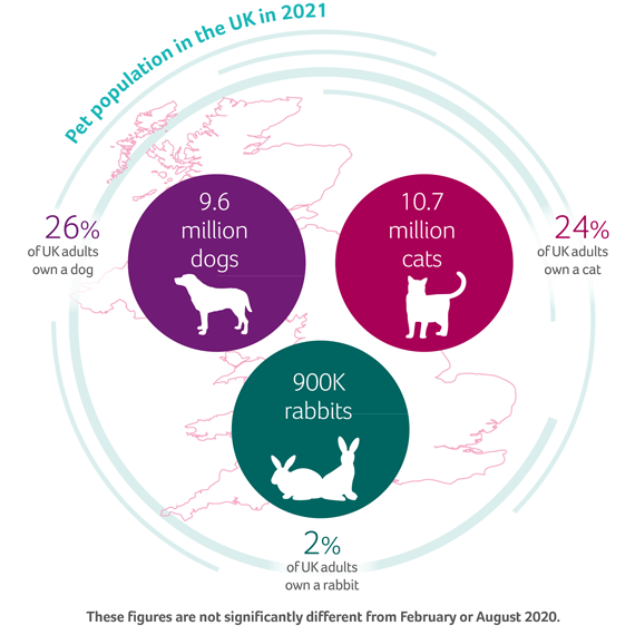 A graph of pet populations in the UK in 2021 - 9.6 million dogs, 10.7 million cats and 900k rabbits