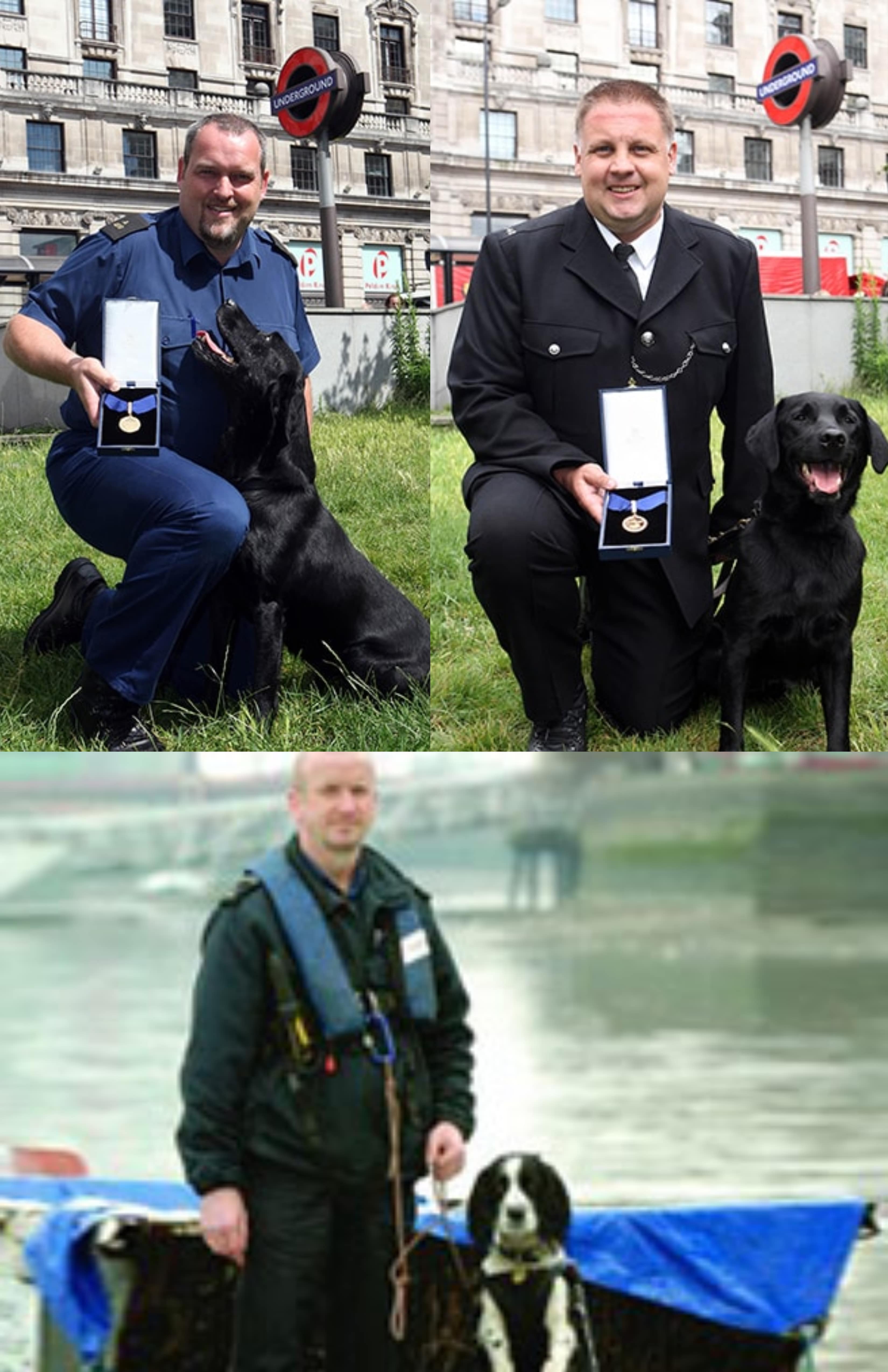 Photos of Police Dogs Billy, Vinnie and Hubble Keck (Jake) with their handlers and their medals