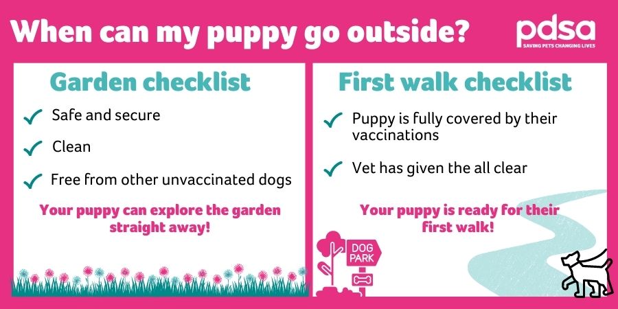 can i take my puppy outside after first vaccination