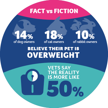 An infographic showing statistics of how many pet owners believe their pet is overweight and how many pets are overweight