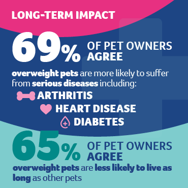 An infographic showing statistics on the impact of pet obesity