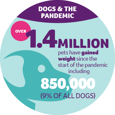 An infographic with statistics on how many pets gained weight since the start of the pandemic