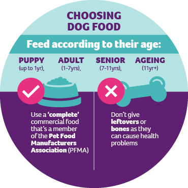 An infographic showing how to choose dog food according to the dog's age