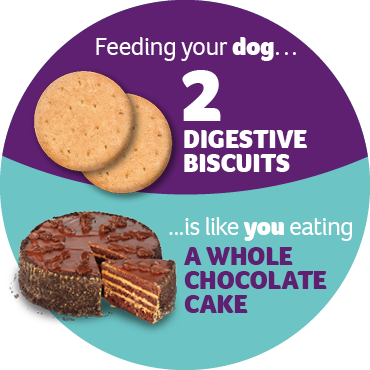 An infographic stating that feeding your dog two digestive biscuits is like you eating a whole chocolate cake
