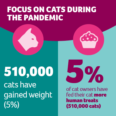 An infographic showing how cats' diets have changed during the pandemic