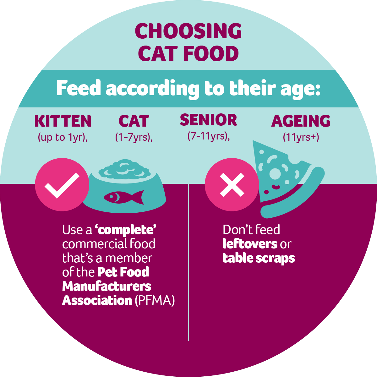 What to feed your cat PDSA
