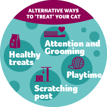 An infographic showing alternative ways to 'treat' your cat