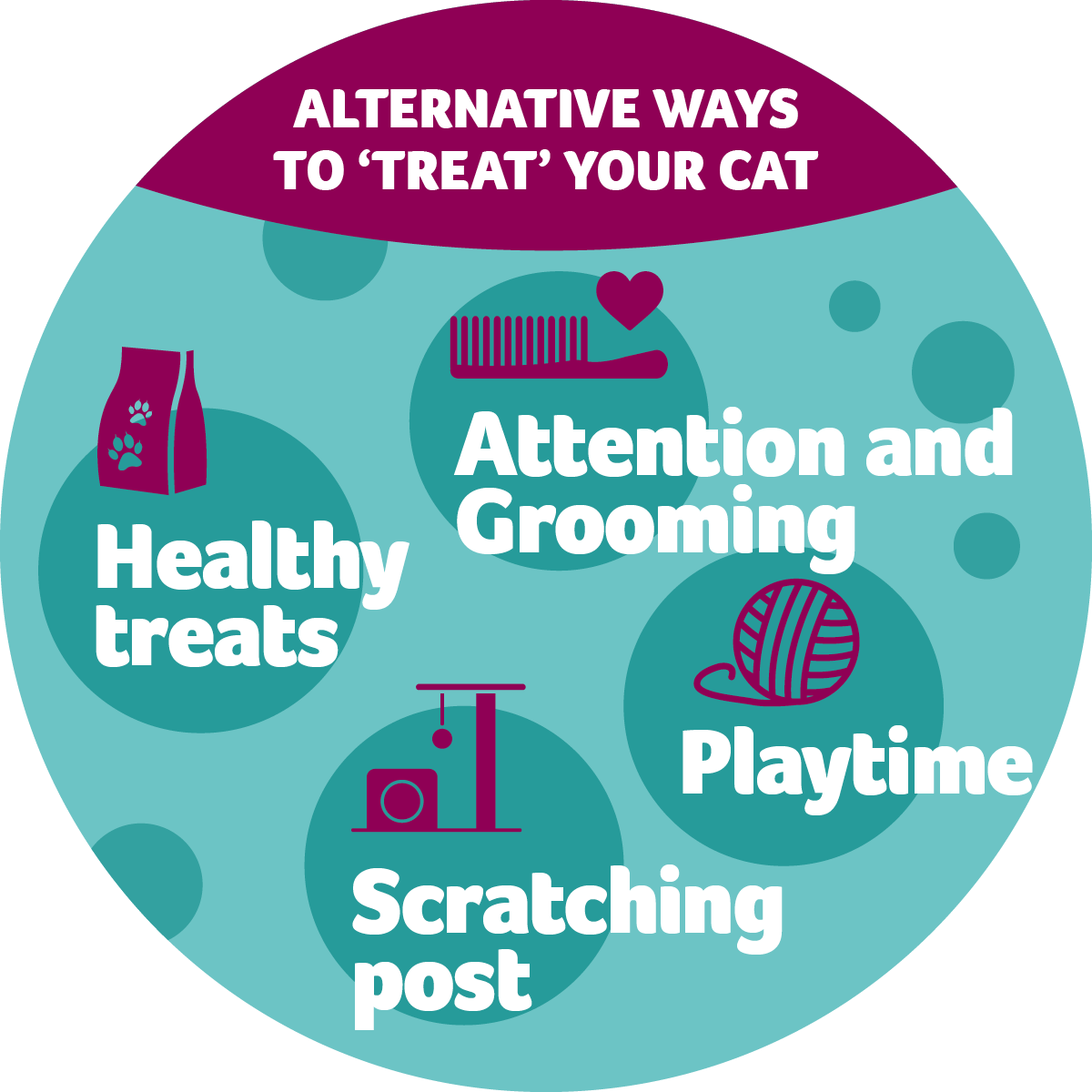 How to treat your cat PDSA