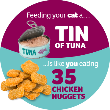 An infographic stating that feeding your cat a tin of tuna is like you eating 35 chicken nuggets