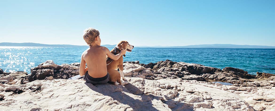 child and dog on lead sitting on rocks looking over water
