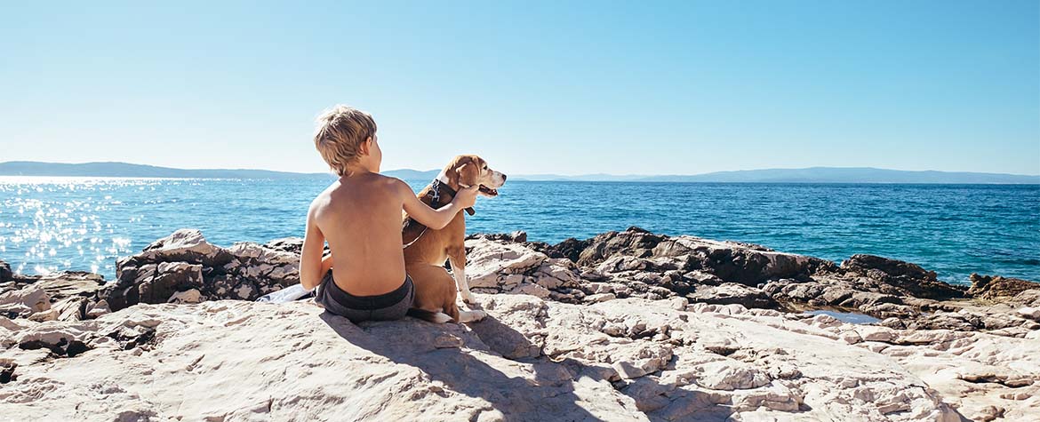 child and dog on lead sitting on rocks looking over water