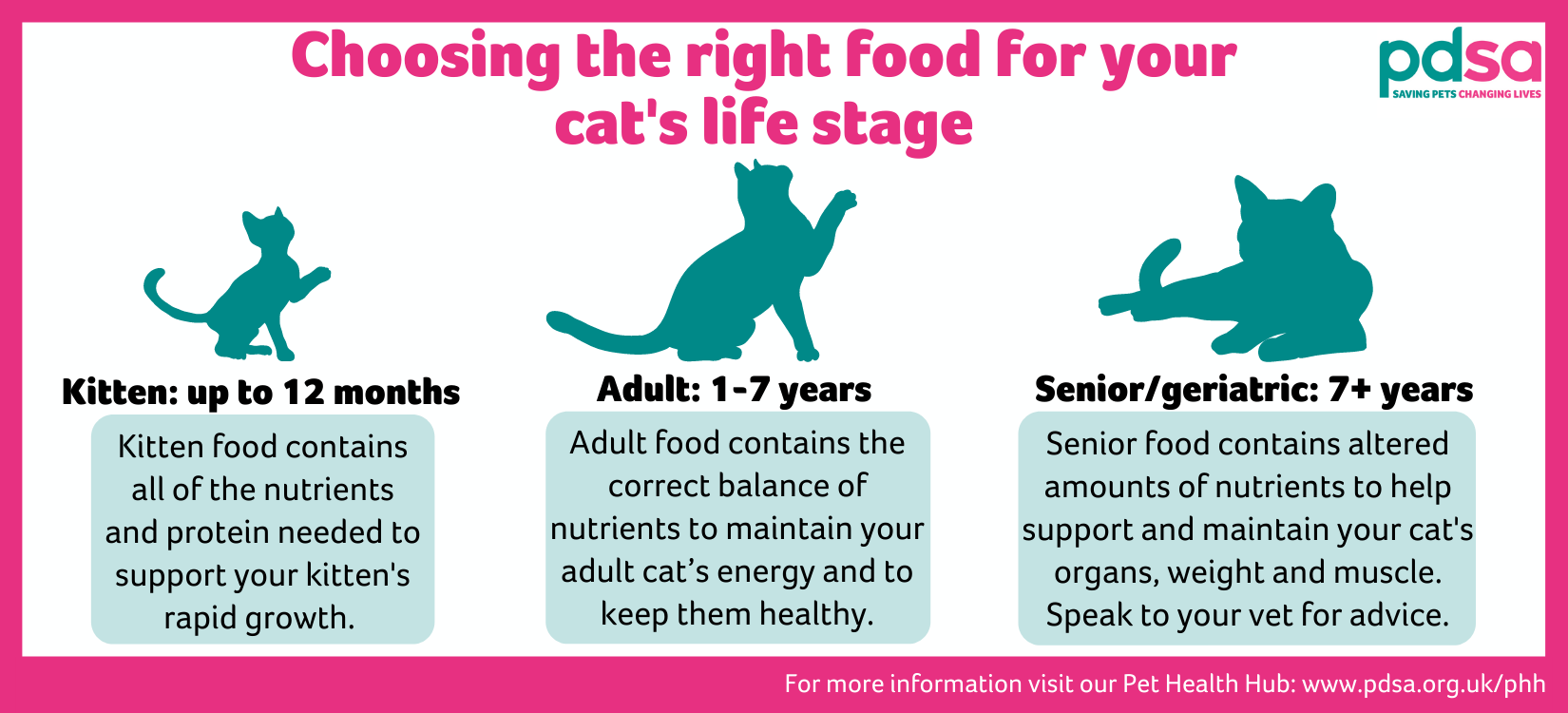Choosing the right food for you cat's life stage infographic