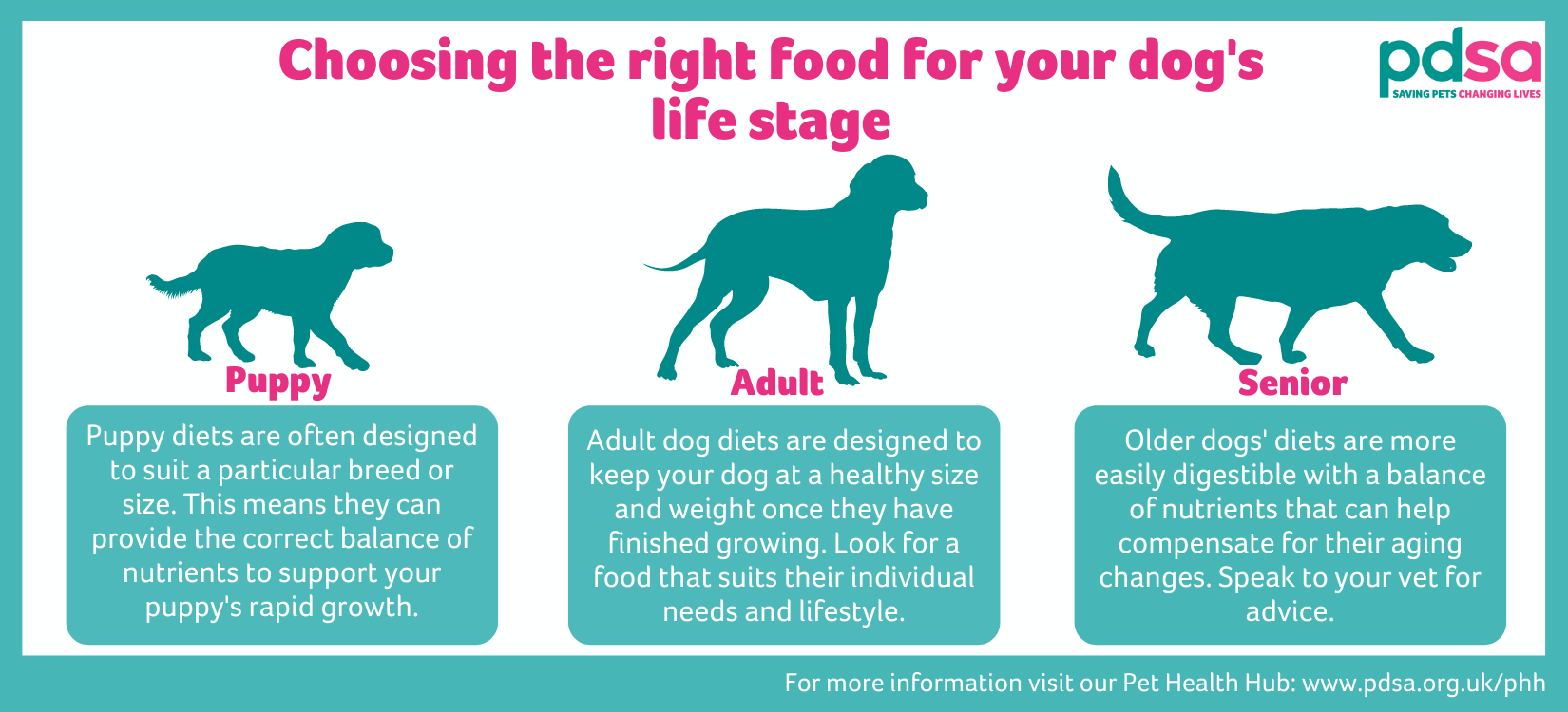 Choosing the right diet for your dog's age