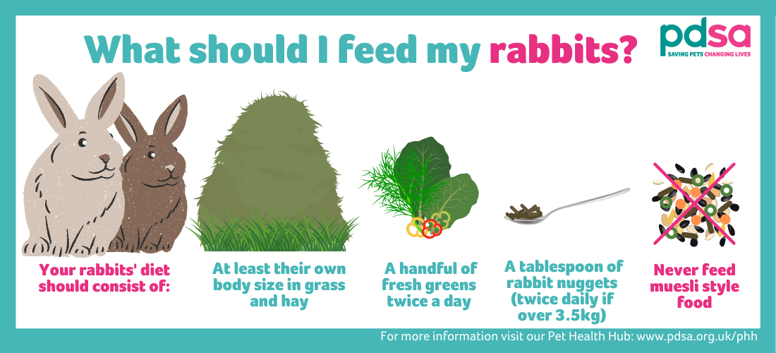 An infographic stating that your rabbits' diet should consist of at least their own body size in grass and hay, a handful of fresh greens twice a day, a tablespoon of rabbit nuggets (twice daily if over 3.5kg) and that they should never be fed muesli style food