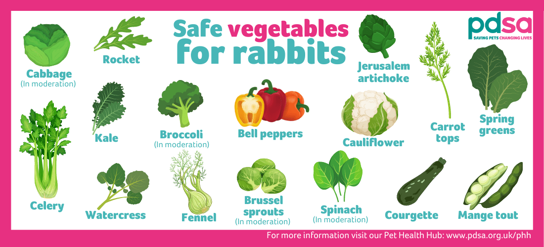 An infographic displaying the vegetables safe for rabbits to eat