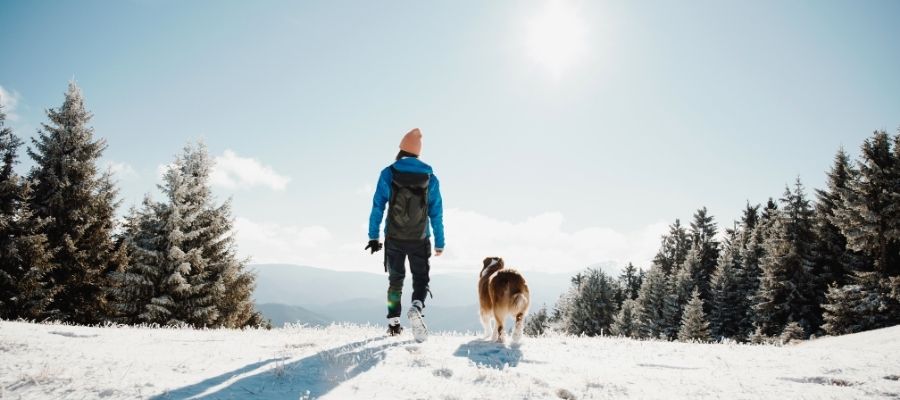 Person in cold weather hiking gear and large dog walking in-between snow-covered trees