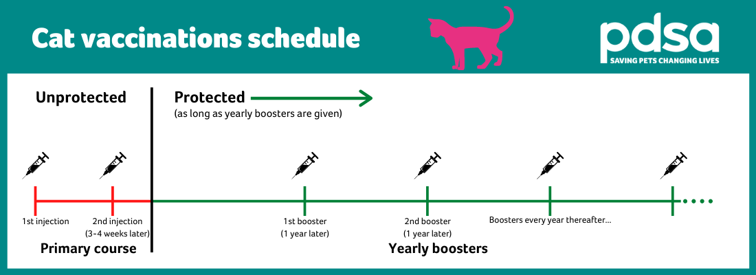 Dog Vaccination Schedule Price