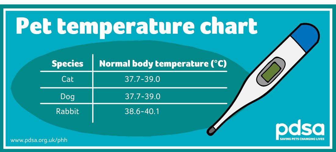 An illustration depicting the normal body temperature in degrees celsius for cats (37.7-39.0), dogs (37.7-39.0), and rabbits (38.6-40.1)