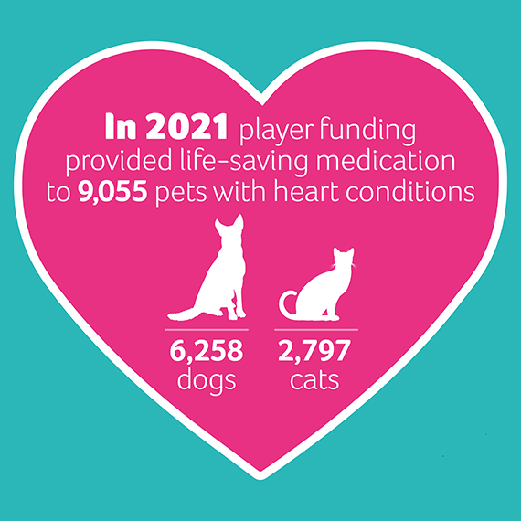 pdsa provided life-saving medication to 9,055 pets with heart conditions