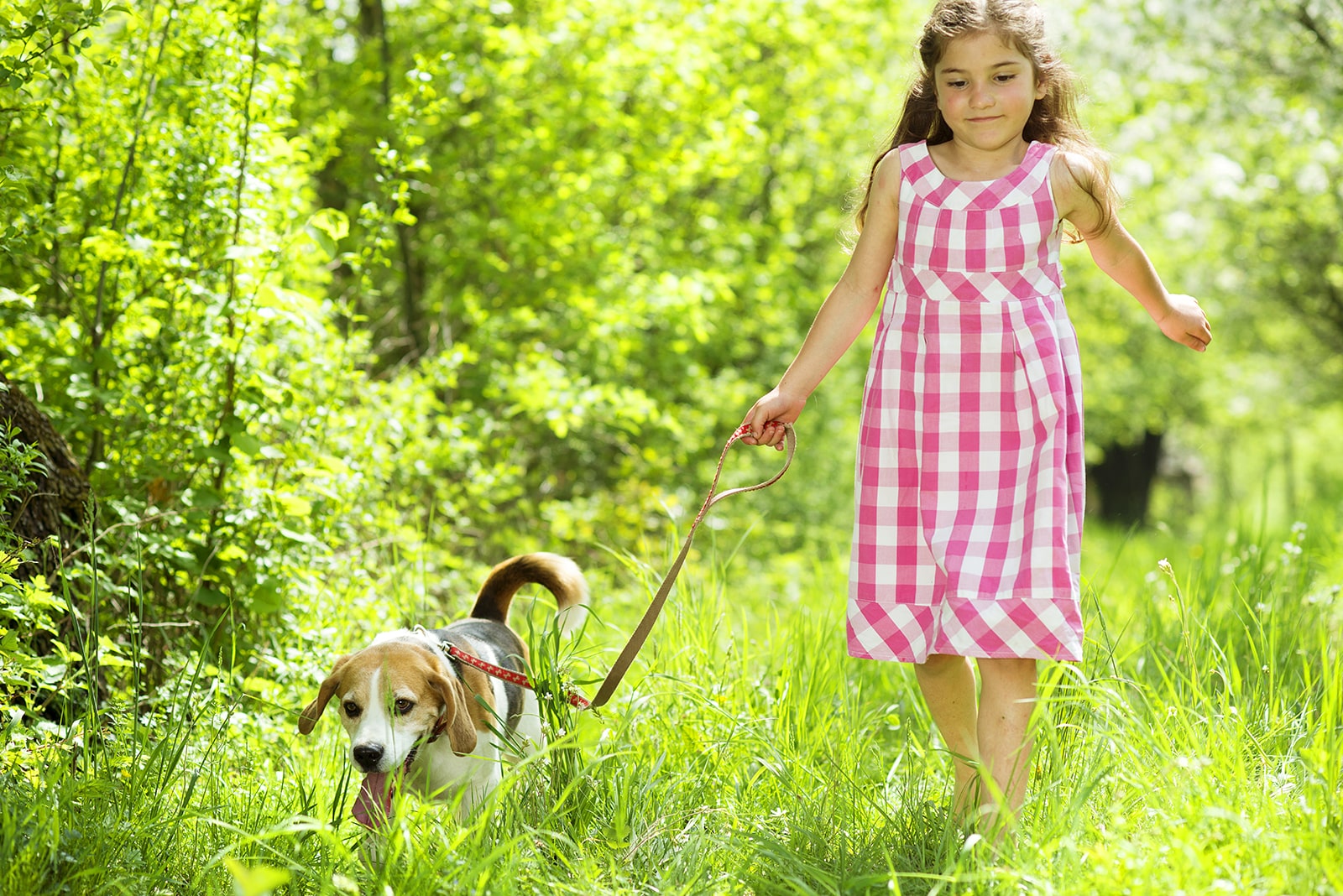 Child giving dog a treat