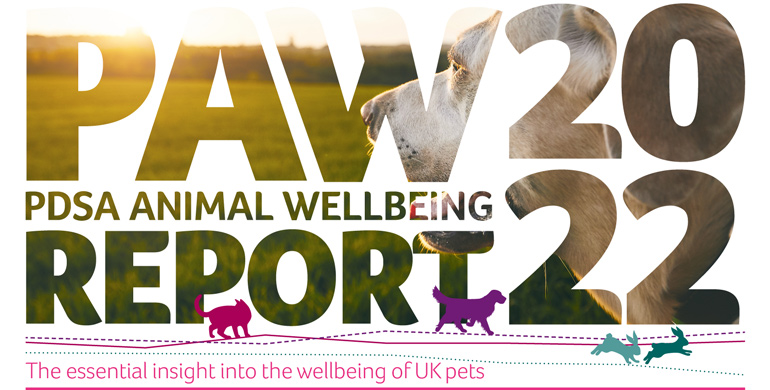 PAW report 2021 cover image