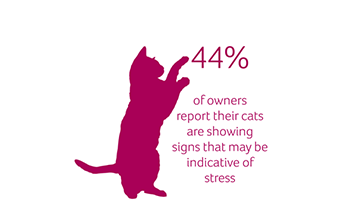 PAW Report - PDSA