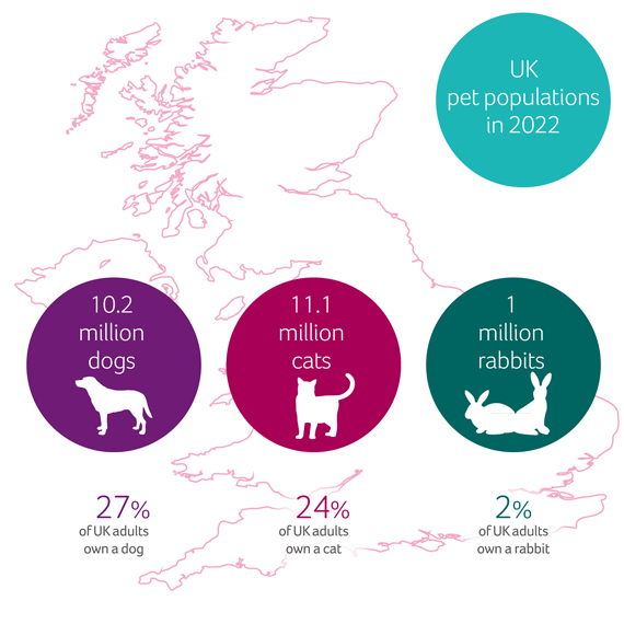 A graph of pet populations in the UK in 2022 - 10.2 million dogs, 11.1 million cats and 1 million rabbits