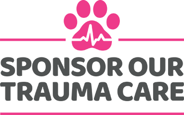 Pink paw icon with 'Sponsor our trauma care' wording