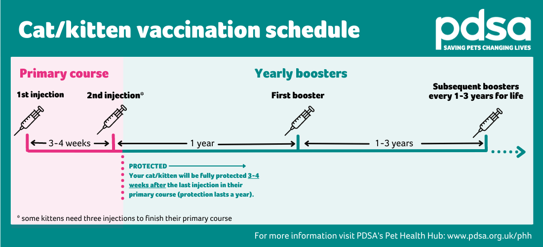 A graphic depicting the vaccination schedule for cats and kittens