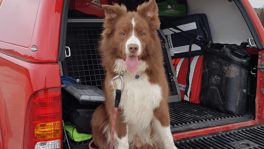 Zak taking a break in an open car boot