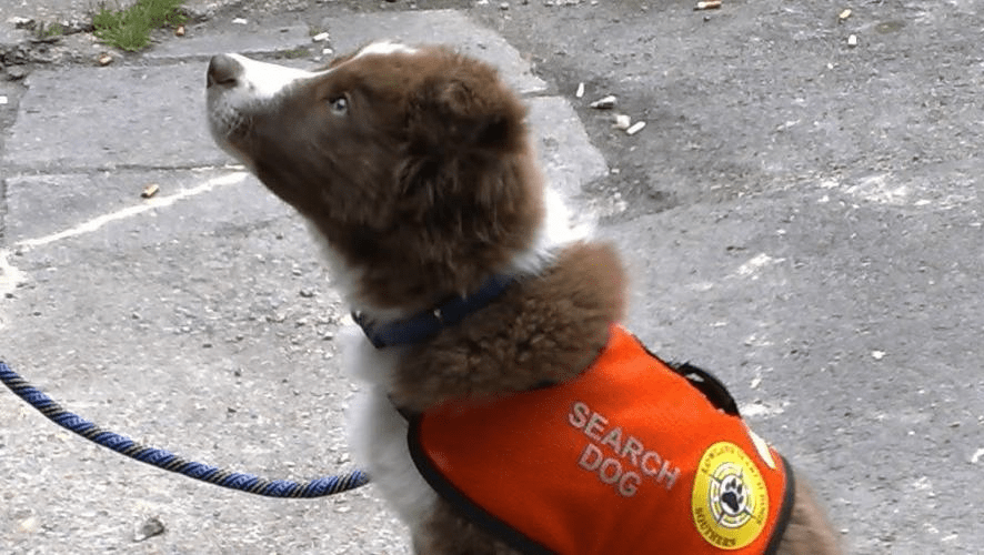 Zak in an orange vest ready to work