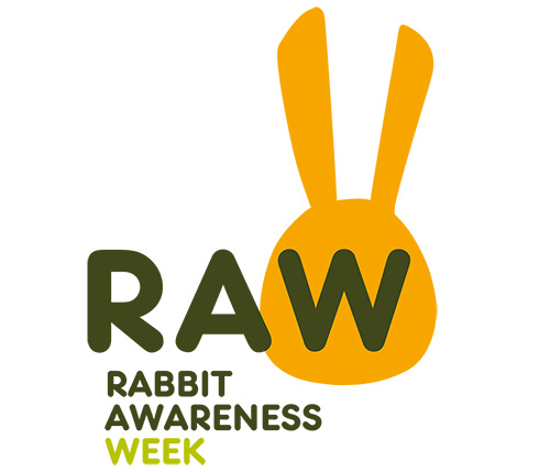 RAW 2020 Logo