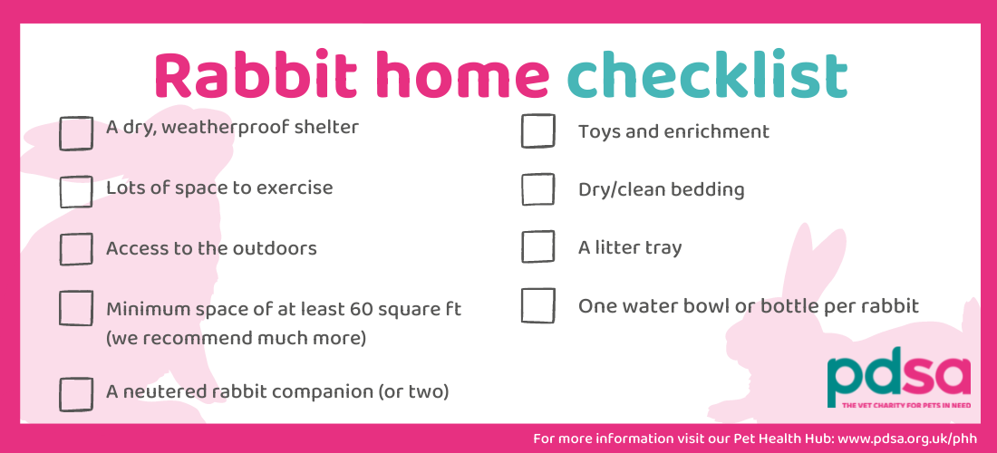 A checklist of what you need for a rabbit home
