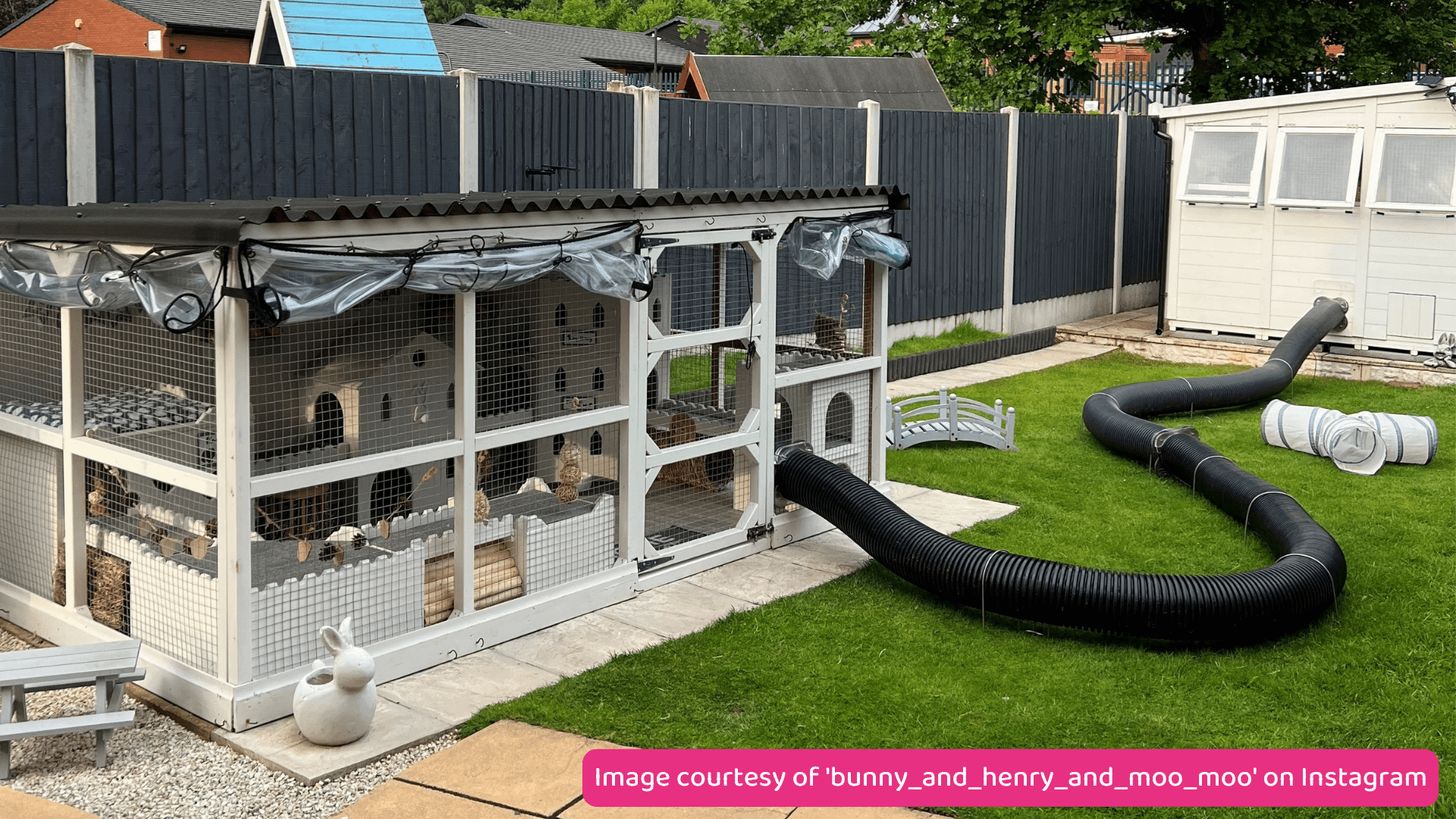 Outdoor top rabbit enclosure