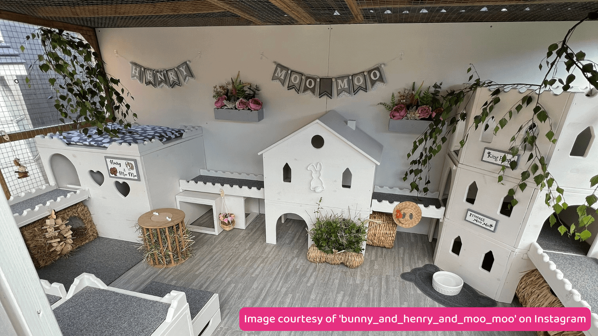 Creating the ideal home for your rabbits PDSA