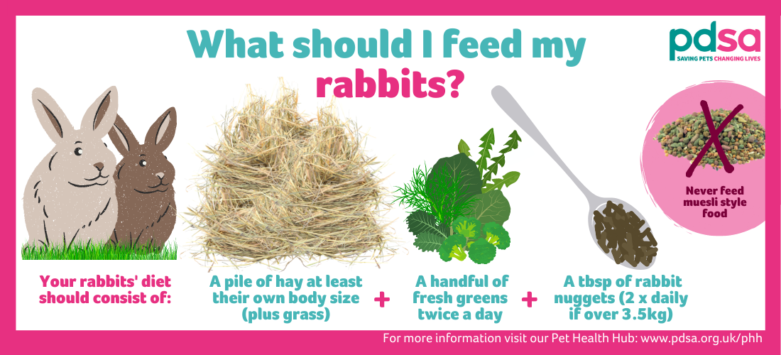 An infographic stating that your rabbits' diet should consist of at least their own body size in grass and hay, a handful of fresh greens twice a day, a tablespoon of rabbit nuggets (twice daily if over 3.5kg) and that they should never be fed muesli style food