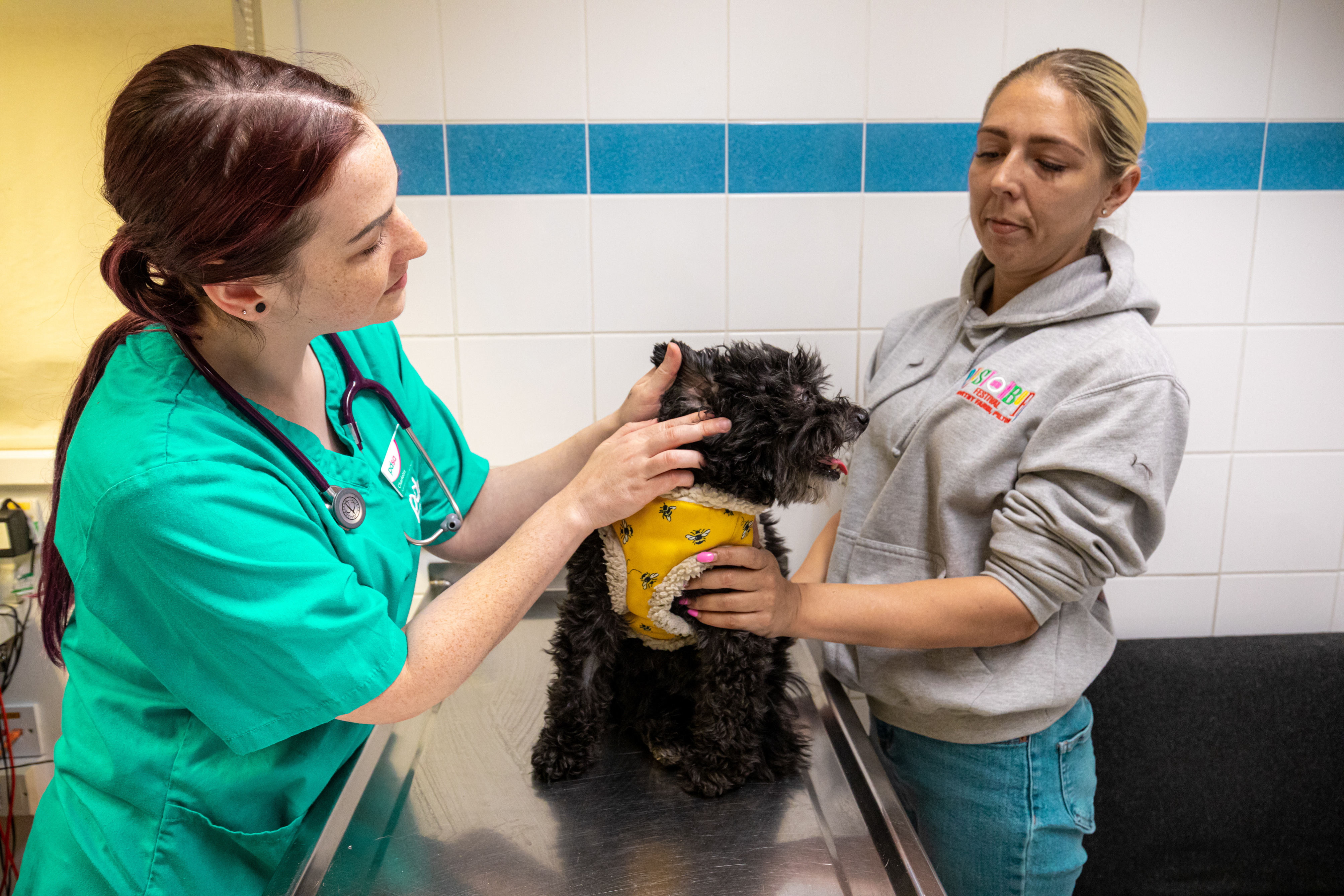 Fifi with the vet nurse Charlotte