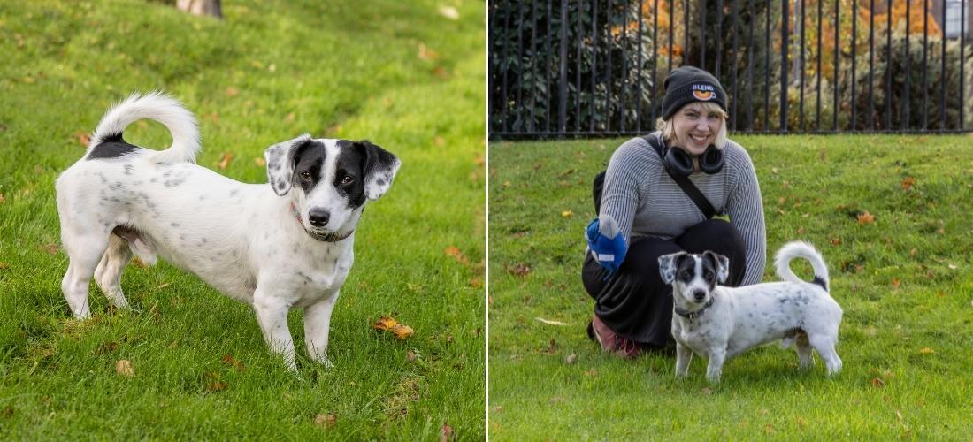 Photos showing Boomi outside with her owner Eilidh