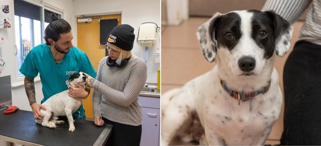 Photos showing Boomi with his owner Eilidh and PDSA RVN Paolo